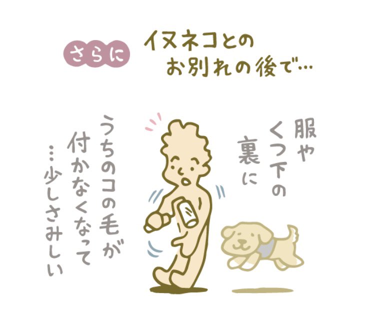#犬のいる幸せ #猫のいる幸せ 