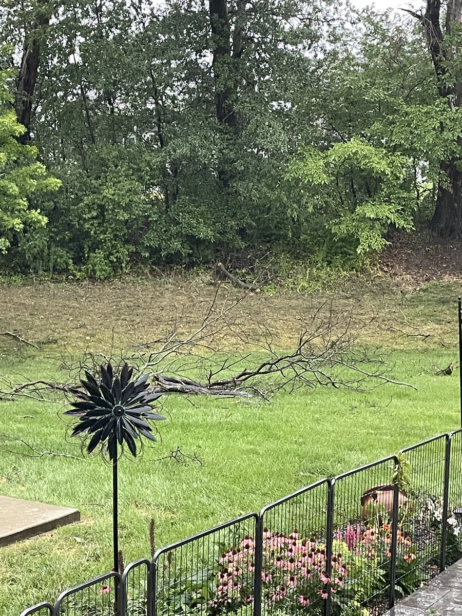 AdineHickey's tweet photo. @NWSStLouis  I am a trained storm spotter.  We had heavy wind, rain and pea sized hail at 3:29 PM (lasted from~3:14 to ~3:50 for the heaviest storm but it is still raining now.) Location 440 Flowering Magnolia Dr, O’Fallon, MO (38.797640, -90.730530). https://t.co/8sIaWnsdsa