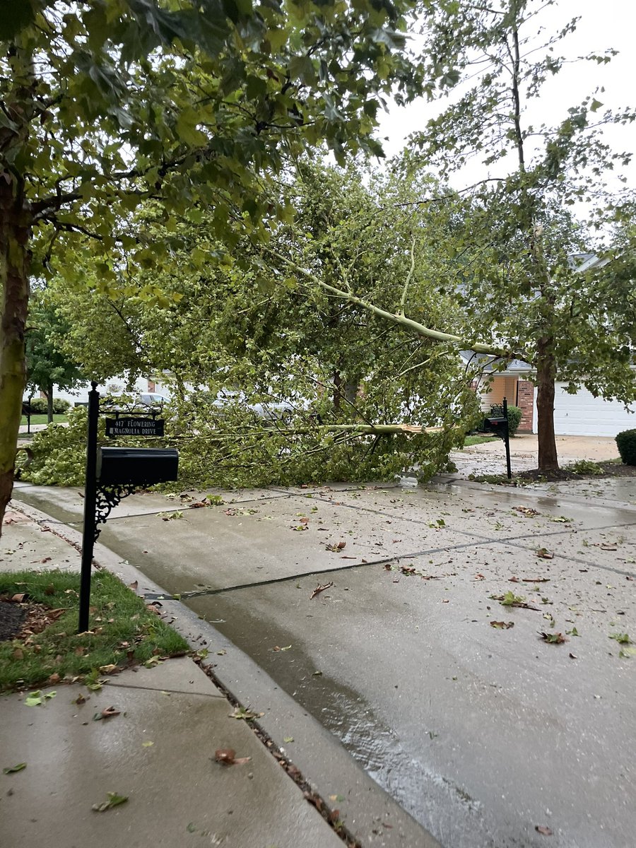 AdineHickey's tweet photo. @NWSStLouis  I am a trained storm spotter.  We had heavy wind, rain and pea sized hail at 3:29 PM (lasted from~3:14 to ~3:50 for the heaviest storm but it is still raining now.) Location 440 Flowering Magnolia Dr, O’Fallon, MO (38.797640, -90.730530). https://t.co/8sIaWnsdsa
