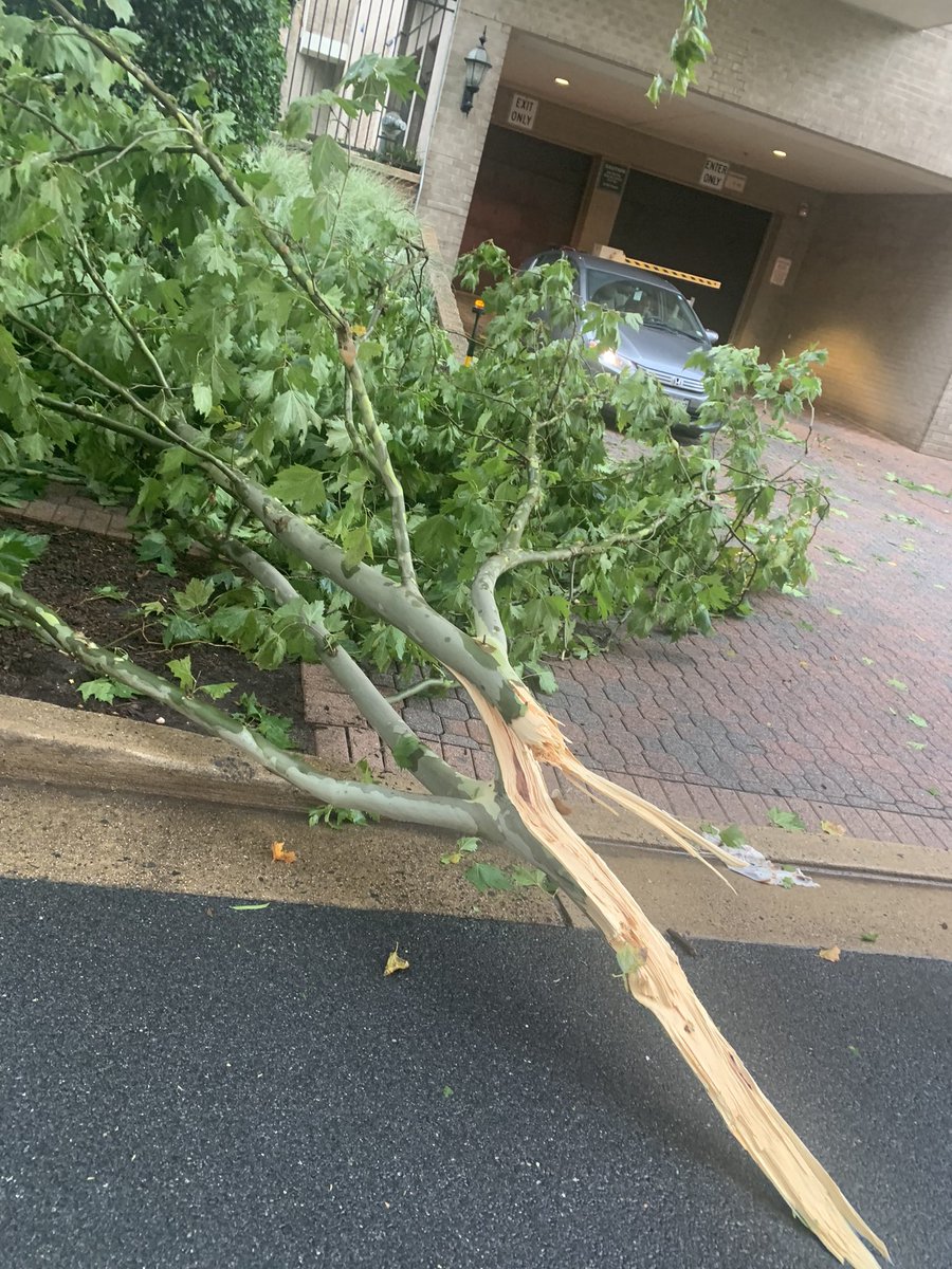 Krohn_DC's tweet photo. Not sure if that was a #tornado, #microburst, or what but it was strong enough to take down multiple trees and light poles in #Arlington’s #VirginiaSquare neighborhood. @ARLnowDOTcom @capitalweather https://t.co/osjliKVdrr