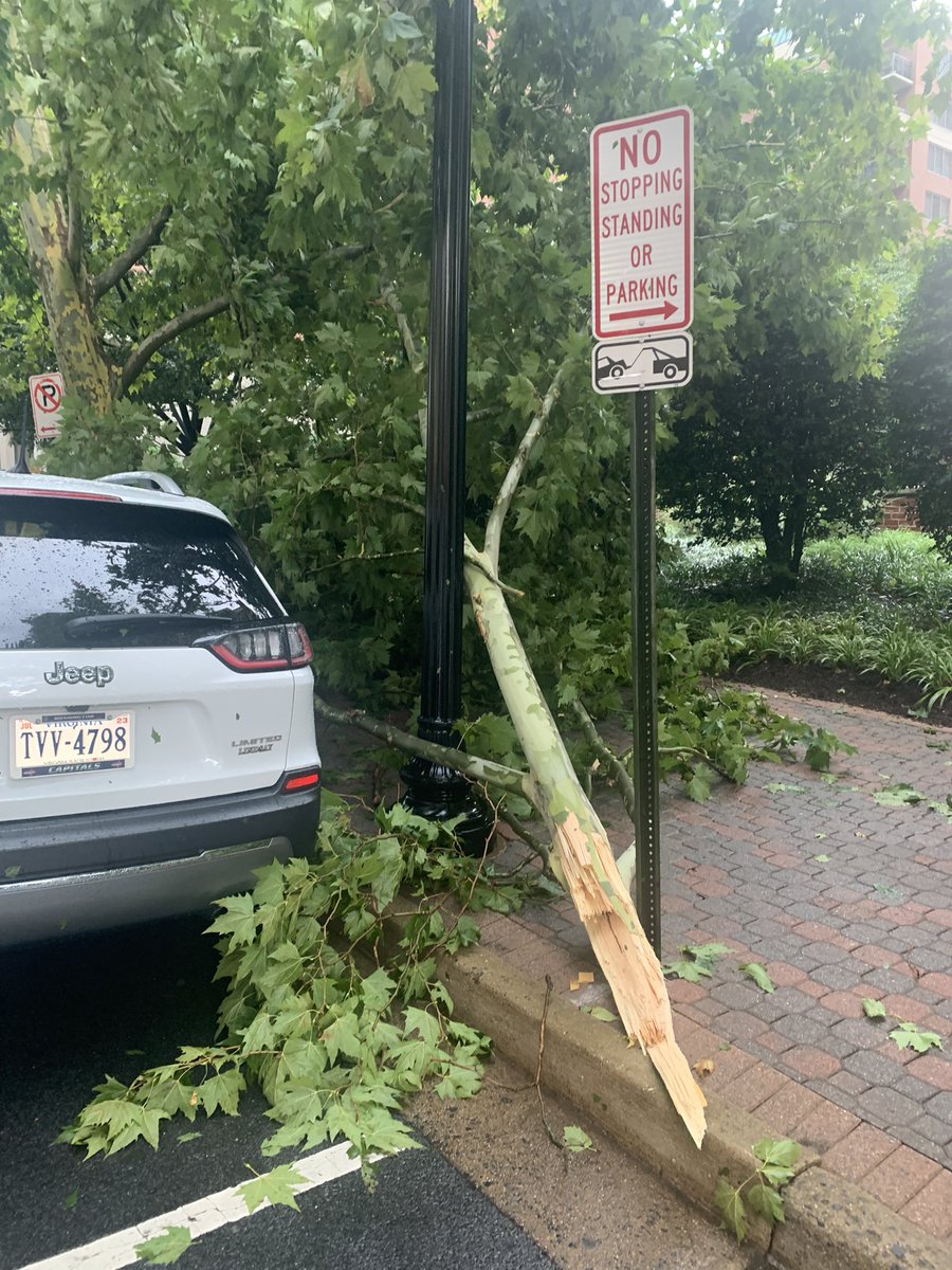 Krohn_DC's tweet photo. Not sure if that was a #tornado, #microburst, or what but it was strong enough to take down multiple trees and light poles in #Arlington’s #VirginiaSquare neighborhood. @ARLnowDOTcom @capitalweather https://t.co/osjliKVdrr