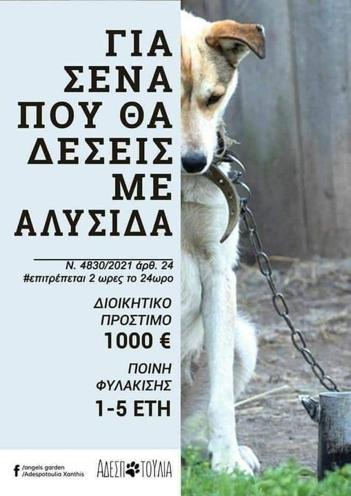 vassozacharof's tweet photo. για την ευαισθητοποίηση των ανθρώπων, μιας και οι ιδιοκτήτες τους ανήκουν στα δίποδα ανθρωποειδή
#προστατεύουμε_τα_ζώα https://t.co/92ttf19pBo
