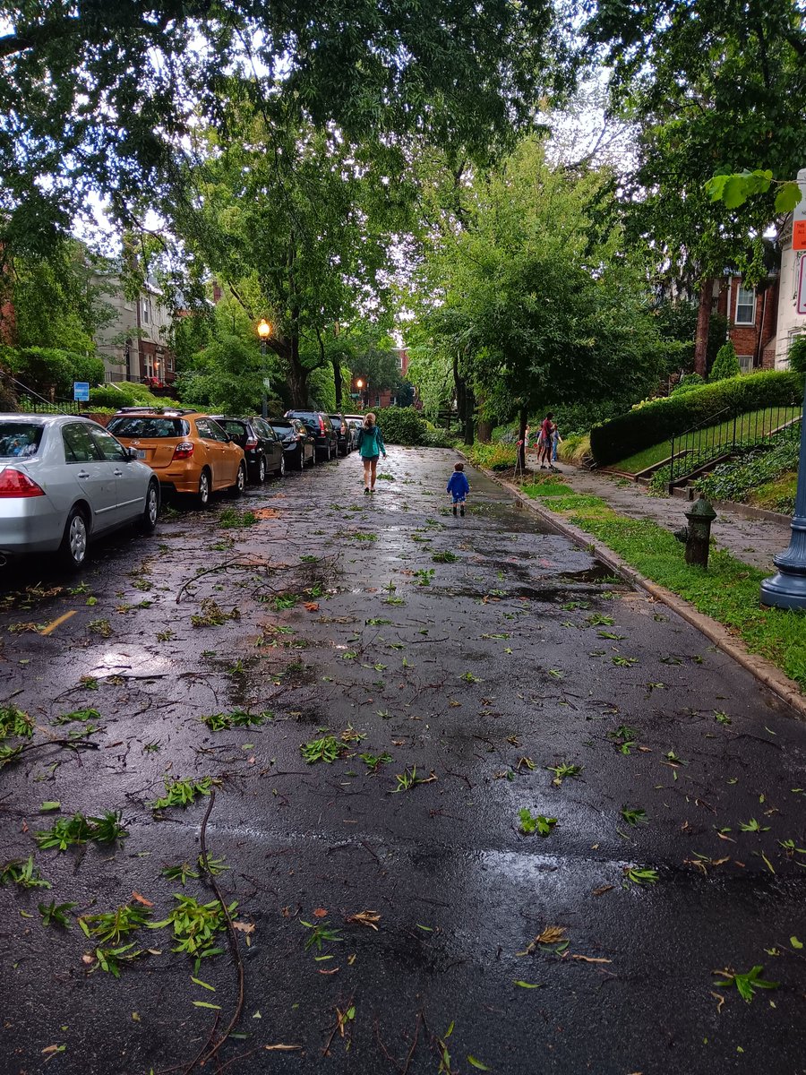 Gawain4ANC's tweet photo. I count at least 4 totalled cars in a 1 block radius. Significant damage to 2 houses. Some blocks totally cut off. #anc3c and #anc3c07 report in. https://t.co/DOvcMeLCQZ