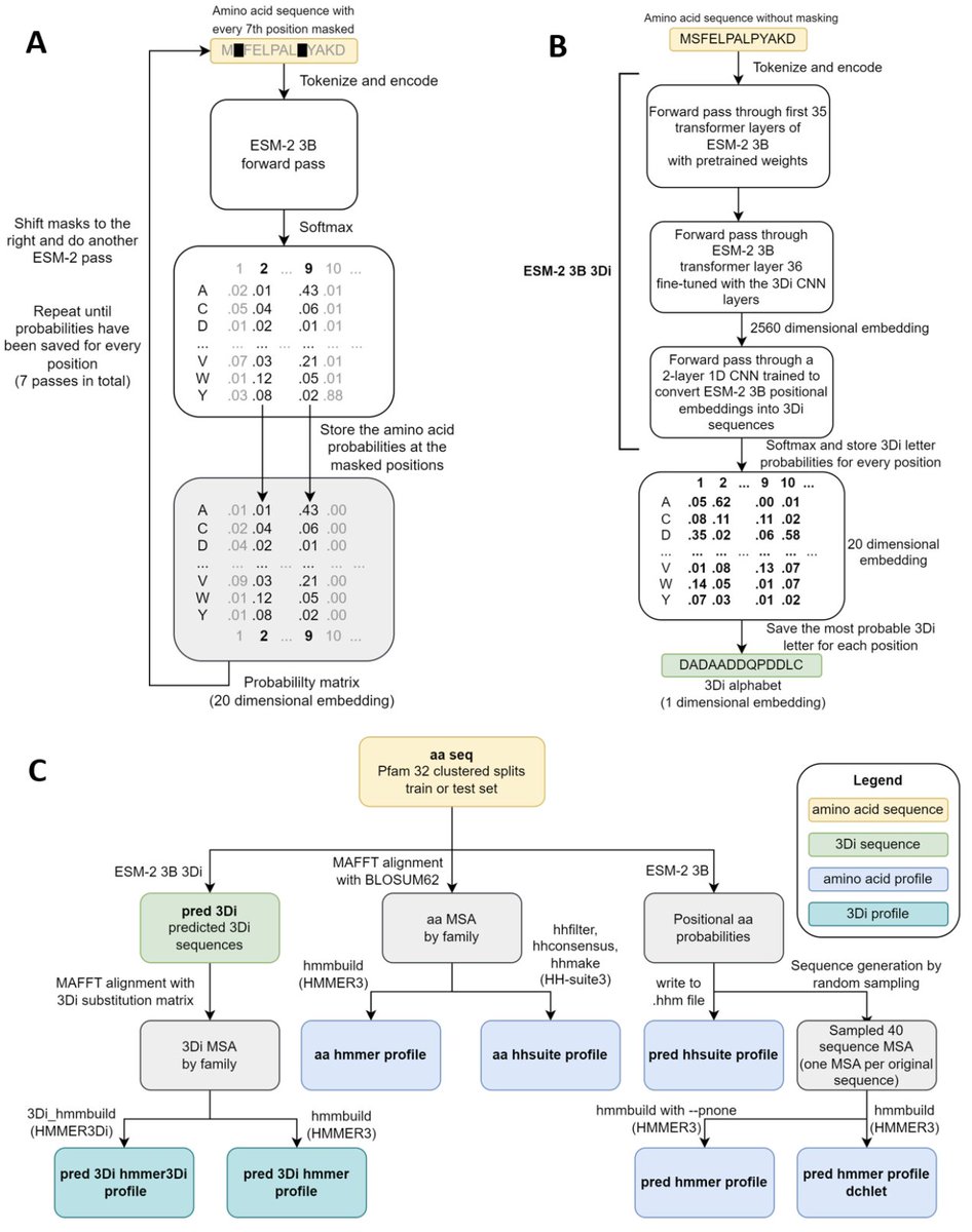 DdelAlamo's tweet image. &quot;Sensitive remote homology search by local alignment of small positional embeddings from protein language models&quot;

ESM2 embeddings used &quot; as input to the highly optimized Foldseek, HMMER3, and HH-suite search algorithms&quot;

biorxiv.org/content/10.110…