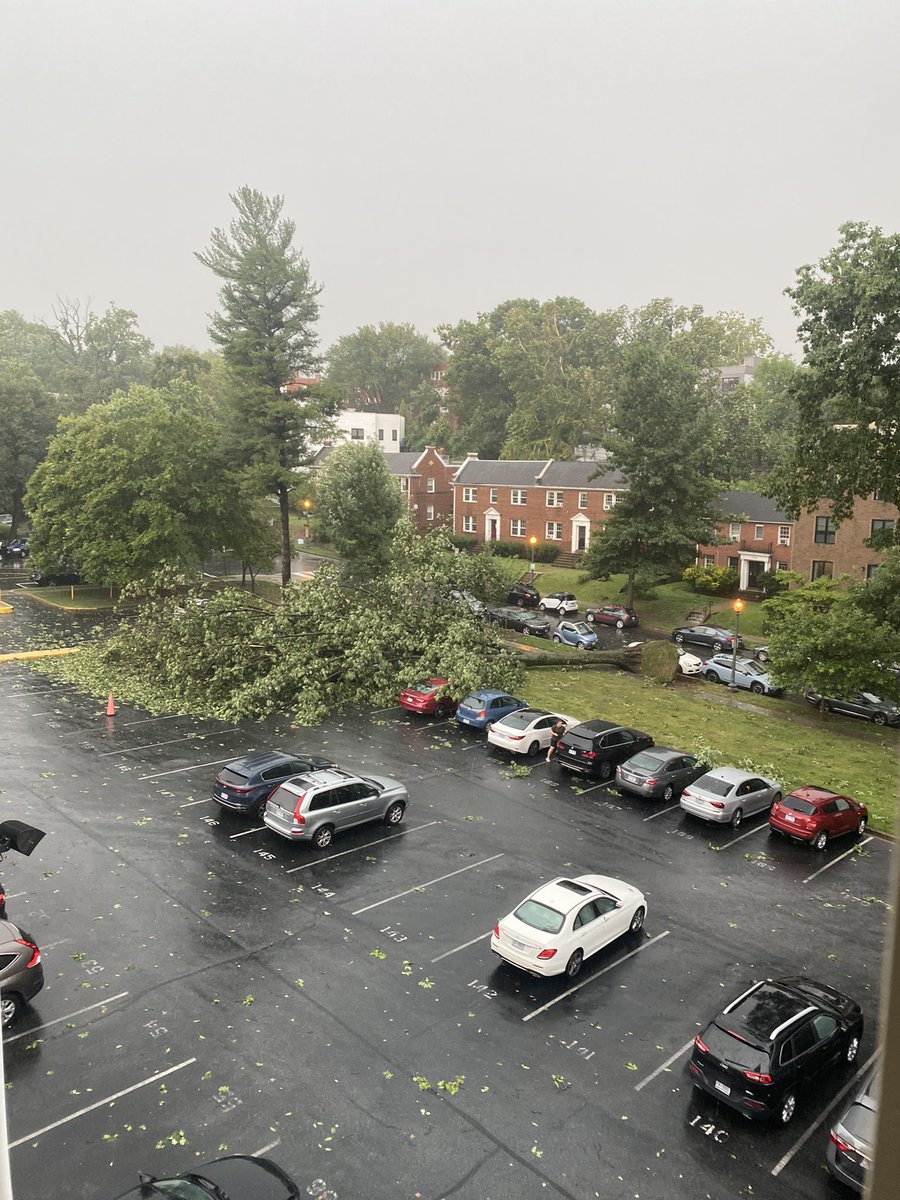 MandersDK's tweet photo. First big storm at the new place, and @GloverPark definitely took a bit of a beating 😬 https://t.co/irxTHOumRj