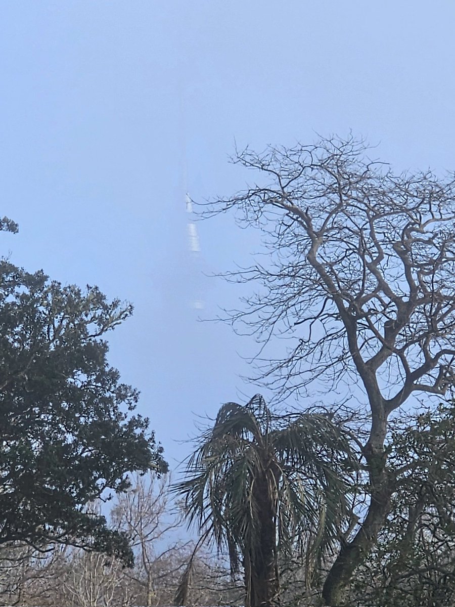 SharonM88707096's tweet photo. Skytower emerges from the mist. Tāmaki... sun's out 🙂
@chamfy https://t.co/fKZ2keKSQi