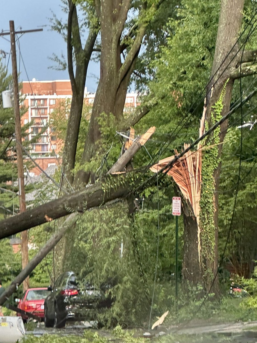 RyanLizza's tweet photo. DC is a mess right now. Huge fallen trees everywhere. Lots of streets closed. Trying to get to the airport and keep getting blocked! https://t.co/C62hMxnaCf