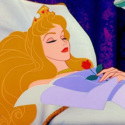 evabrium's tweet photo. How I sleep after layering all my scents together &amp; smelling divine ✨ https://t.co/2N9hu0q4cC