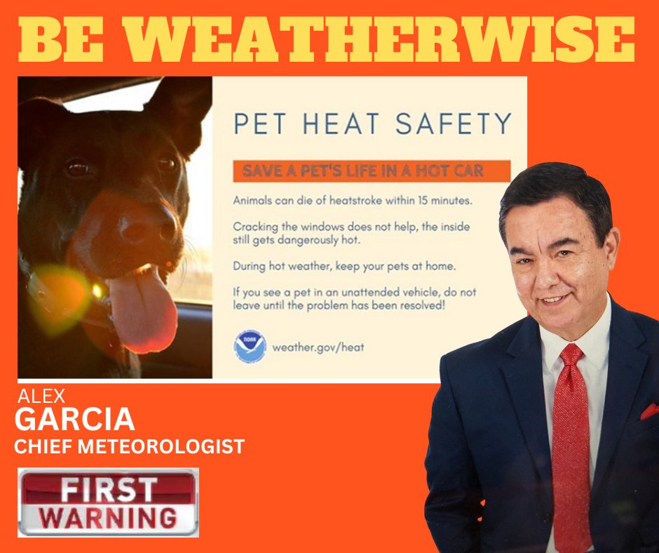 alexgarcia_wx's tweet photo. When temperature rises, let's not forget our furry friends! Keep your pets cool and safe by providing plenty of water, shade, and avoiding hot surfaces. Take care of those who can't beat the heat themselves. #PetSafety #HeatWave #KeepPetsCool" @ryanwolf @CamillaR_TV @KABBFOX29 https://t.co/PcfMw00D07