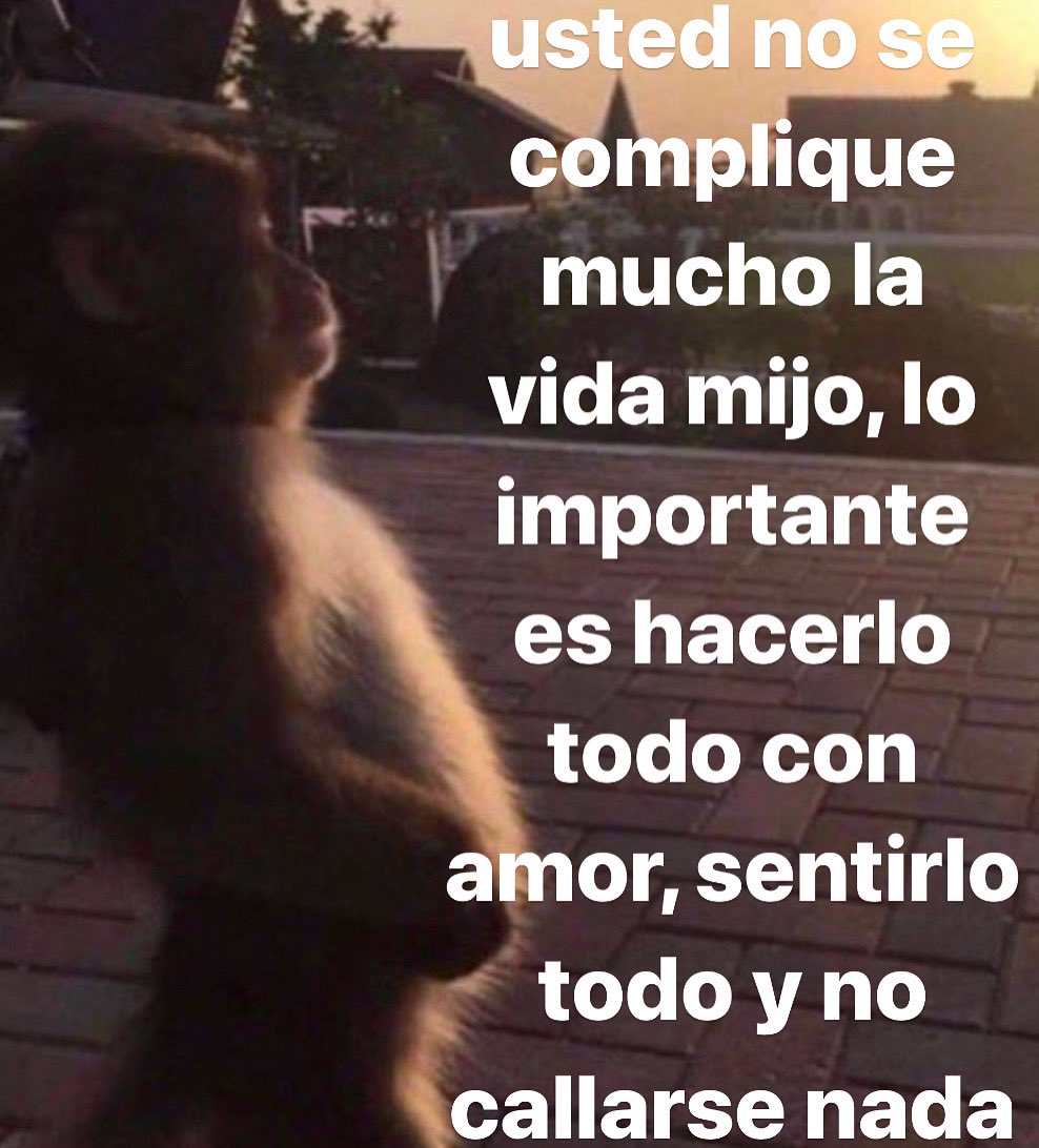 no se complique mijo