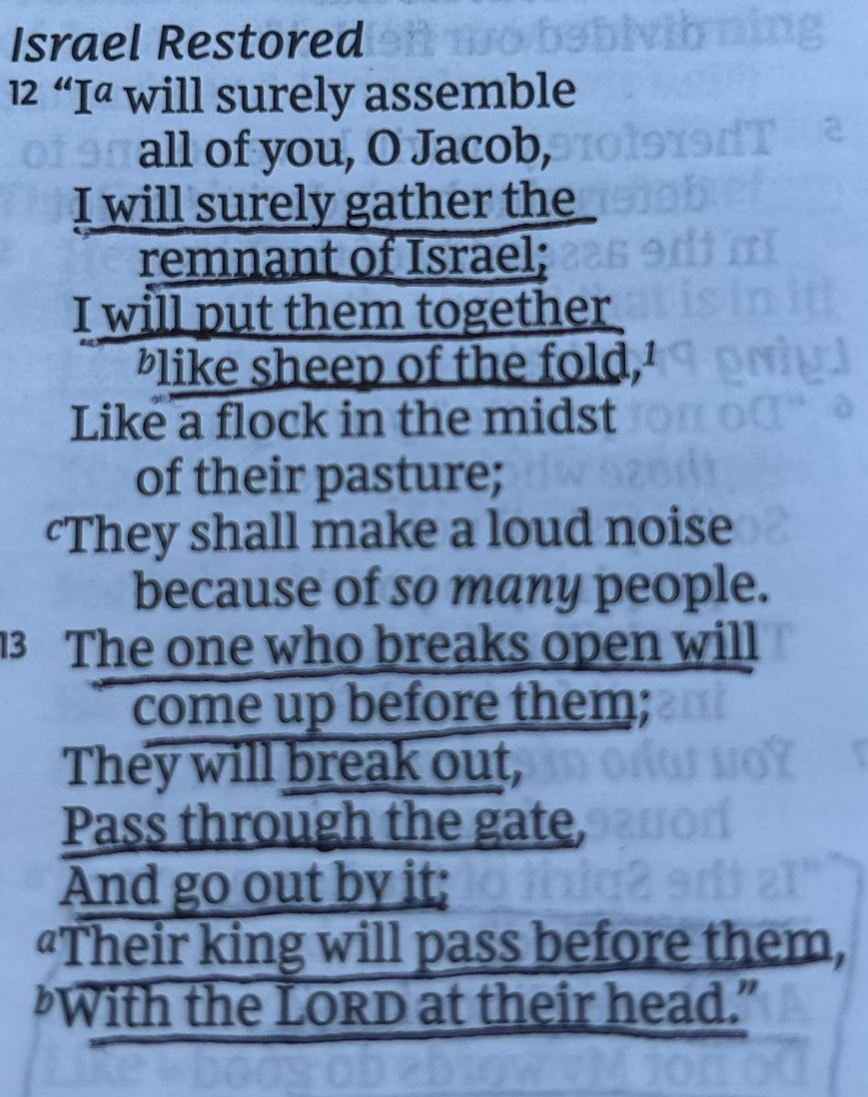 WalkInLight777's tweet image. Great Gate. Christ our Head 
#NarrowWay #StraightWay #TheWayOfRighteousness 
He will gather the remnant of Israel.