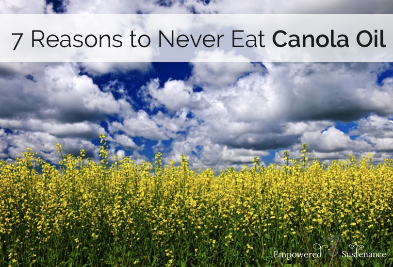 DietHeartNews's tweet photo. Canola is genetically-modified rapeseed. Canada paid U.S. FDA $50 million to have Canola recognized as "safe." Rapeseed has no history of human consumption; insects won't eat it. It must be deodorized at 300 F creating trans fatty acids. https://t.co/X55brMv0pA https://t.co/2O0PudGGh1