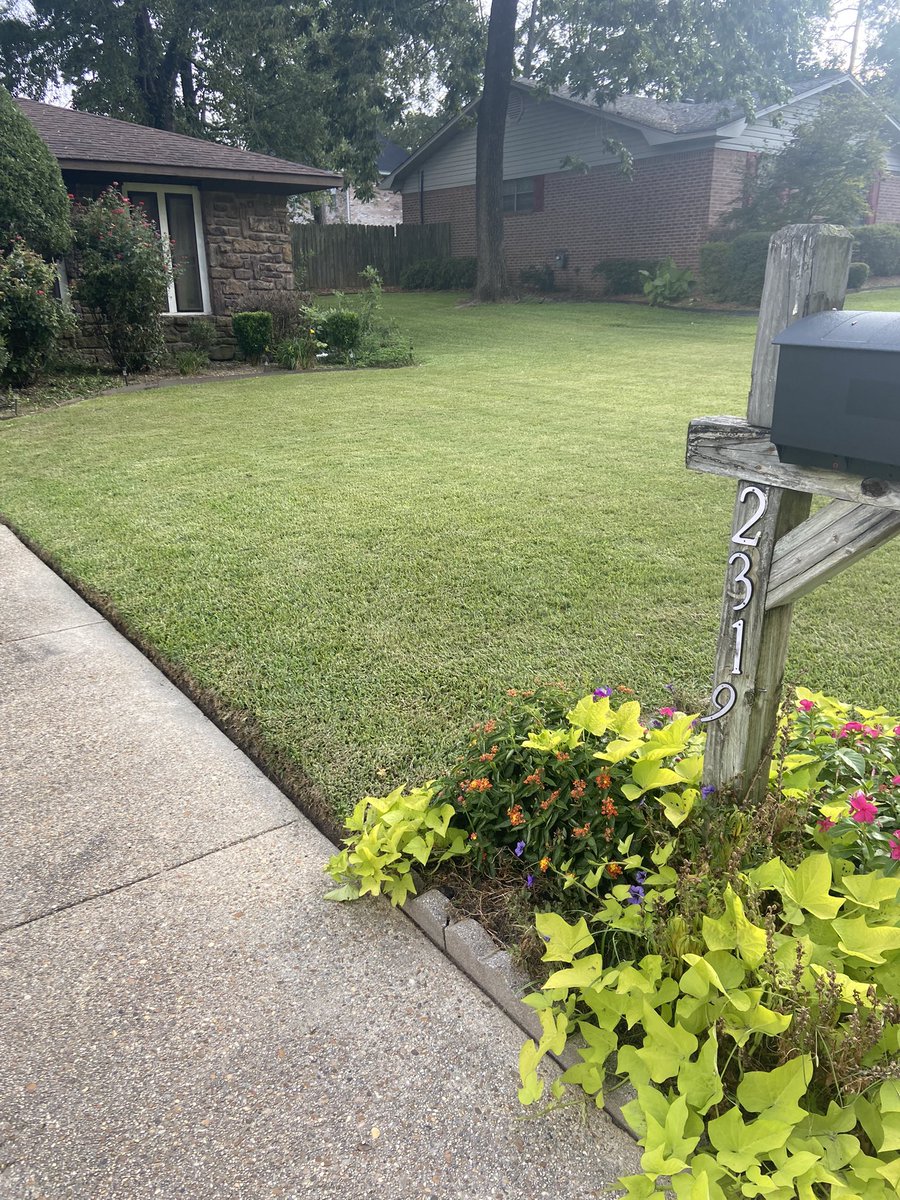 MatthewNash099's tweet photo. Thinking about starting a B-league, minor-league, or Junior Varsity for guys who aren’t quite ready for the @OutKickTNML and call it #ALGC (American Lawn Grooming Club) 🤷🏻‍♂️😂 https://t.co/IALKkJDbJ3