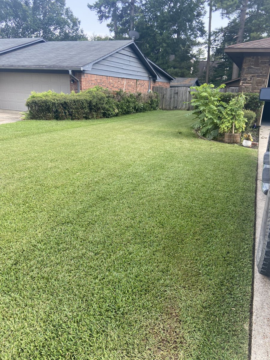 MatthewNash099's tweet photo. Thinking about starting a B-league, minor-league, or Junior Varsity for guys who aren’t quite ready for the @OutKickTNML and call it #ALGC (American Lawn Grooming Club) 🤷🏻‍♂️😂 https://t.co/IALKkJDbJ3