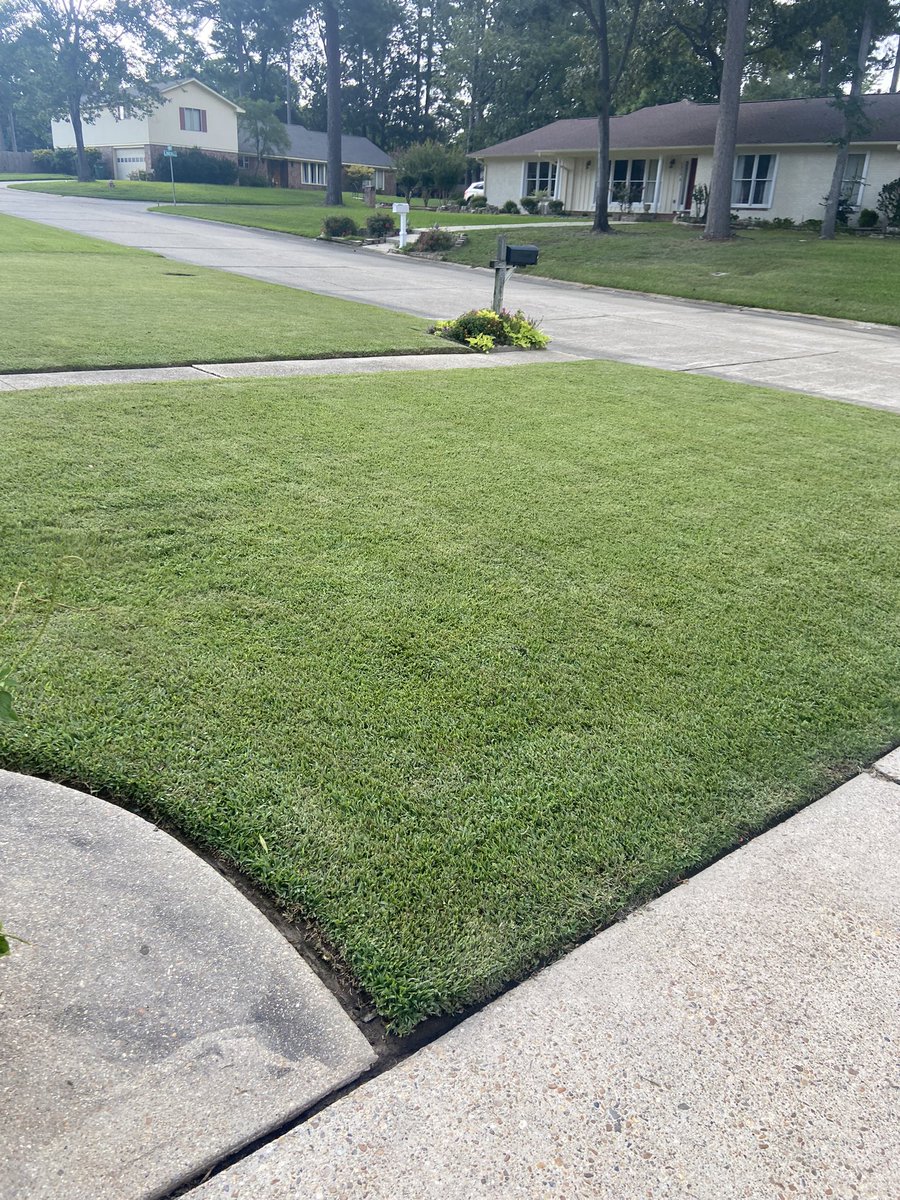 MatthewNash099's tweet photo. Thinking about starting a B-league, minor-league, or Junior Varsity for guys who aren’t quite ready for the @OutKickTNML and call it #ALGC (American Lawn Grooming Club) 🤷🏻‍♂️😂 https://t.co/IALKkJDbJ3