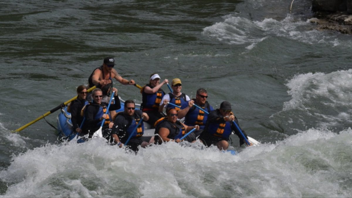 Maria Rosanelli-Allen tweet media