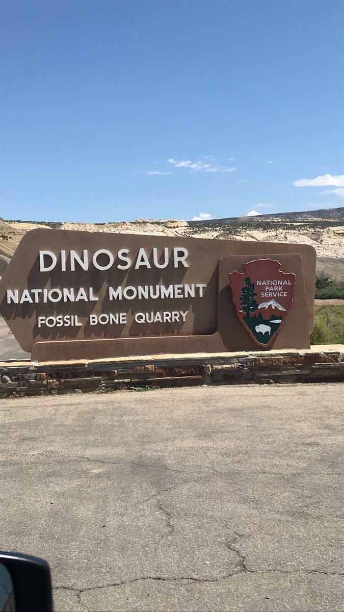 Maria Rosanelli-Allen tweet media