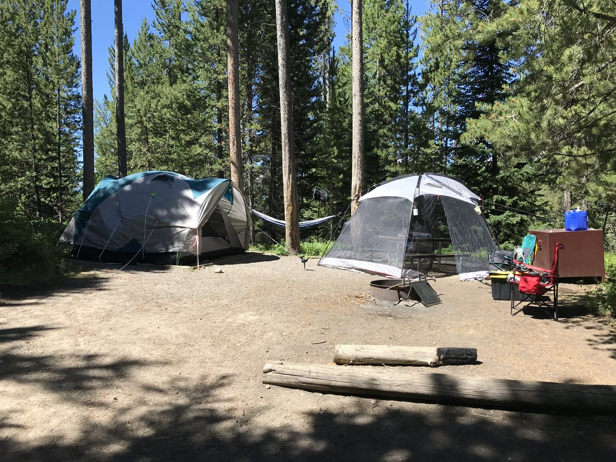 Maria Rosanelli-Allen tweet media