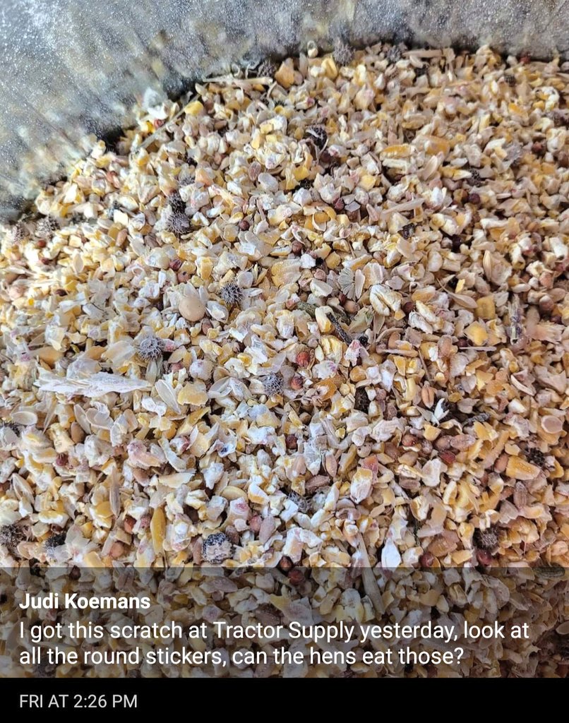 ChickensOfX's tweet photo. STOP buying your pet products from ➡️Tractor Supply⬅️

Didn't anyone learn a lesson from the trash Purina chicken feed that caused our chickens to stop laying? 

Most of us found local feed stores with better quality products. Small local feed stores are not manipulated by ESG. https://t.co/W1ZM9aYUlD