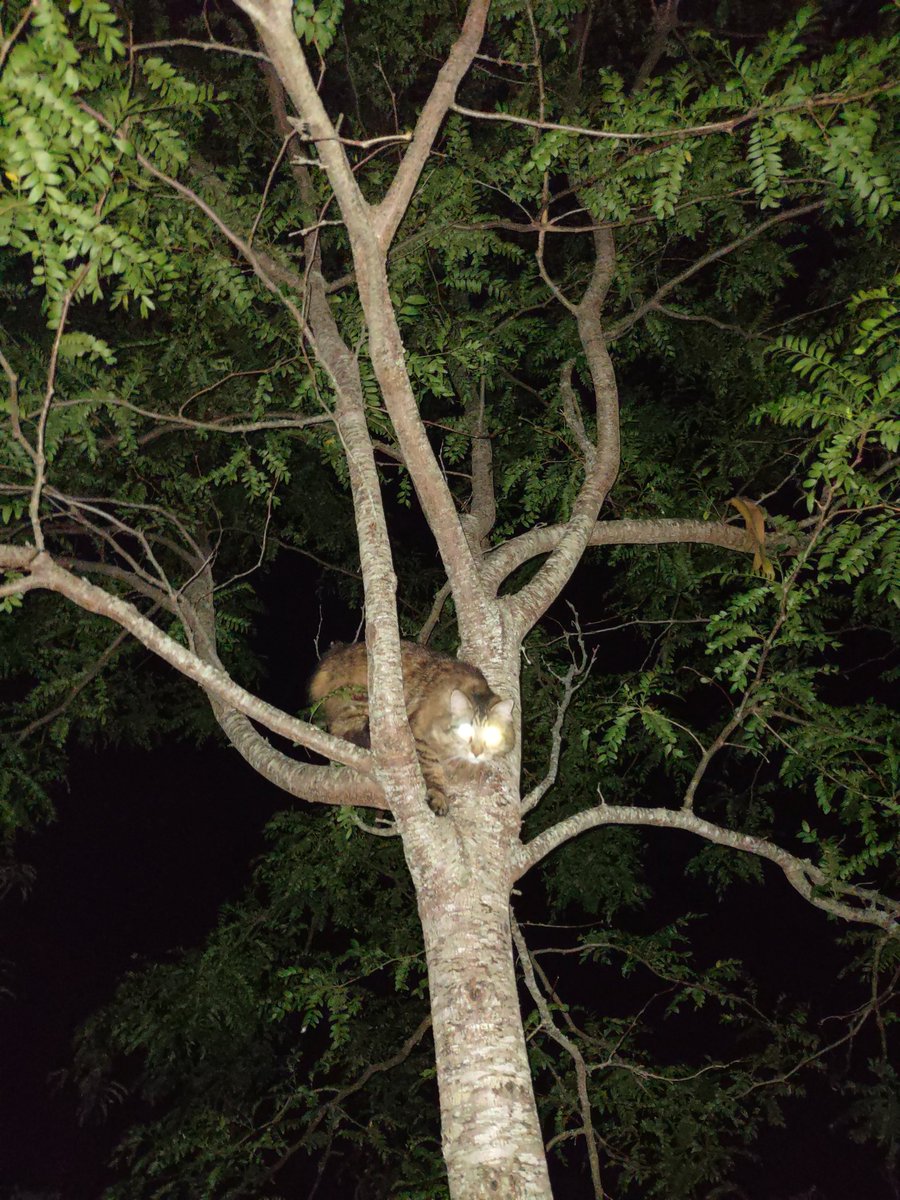 I can be your angle... or yuor devil