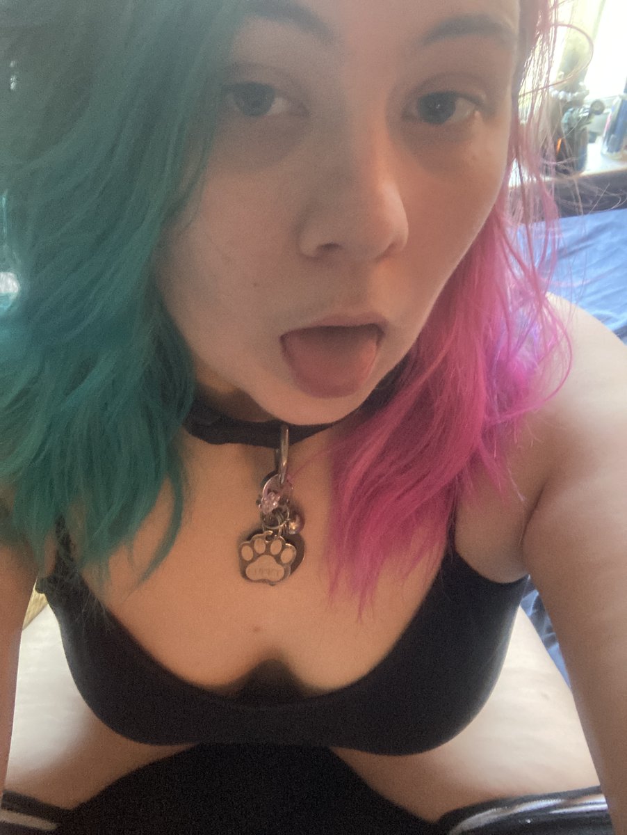 CandyThembo's tweet photo. treat me like a dog I love it https://t.co/G3eNdLS5GI