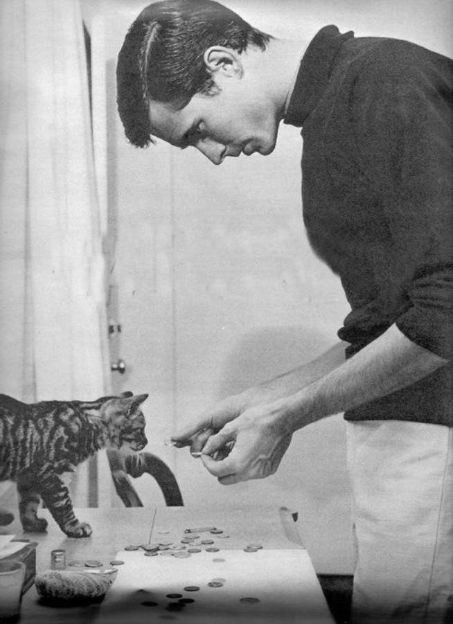 Cleopatragirlie's tweet photo. Various pictures of Anthony Perkins stroking cats https://t.co/PLh5QC84cy