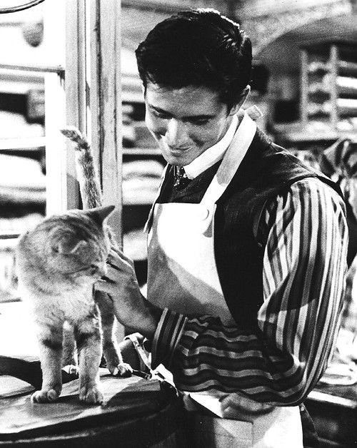 Cleopatragirlie's tweet photo. Various pictures of Anthony Perkins stroking cats https://t.co/PLh5QC84cy