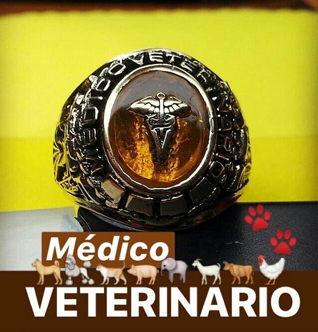 PaolaAnillos's tweet photo. Tus manos atienden a los animales, pero es en tu corazón donde se encuentra la mayor medicina 🎓❤️😍 Ser Veterinario es amar lo que haces, es de grandes curar y cuidar a los seres más nobles de la humanidad 🐶🐱🐮🐷🐻 #Médico #Veterinario #UCLAve #AnillosPaola https://t.co/SISEVFRDv1