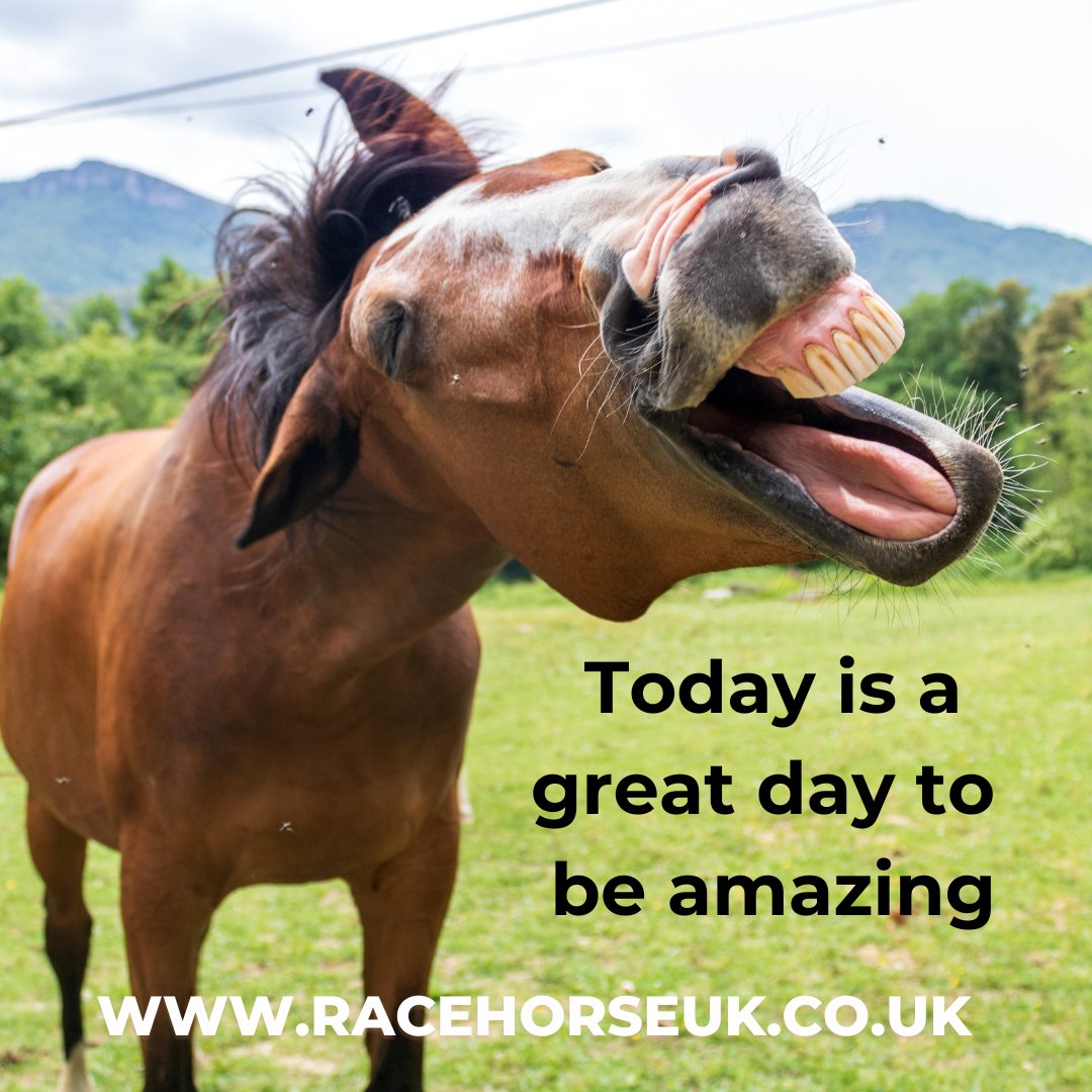 Racehorse_UK's tweet photo. Have you visited https://t.co/NVPBa7nAYA yetβπ¬ π€©
#racehorseuk #racehorsesyndicate #horseracingclub #retiredracehorse #horseracing #racehorseownership #syndicateshares https://t.co/5Rr46i5yGH