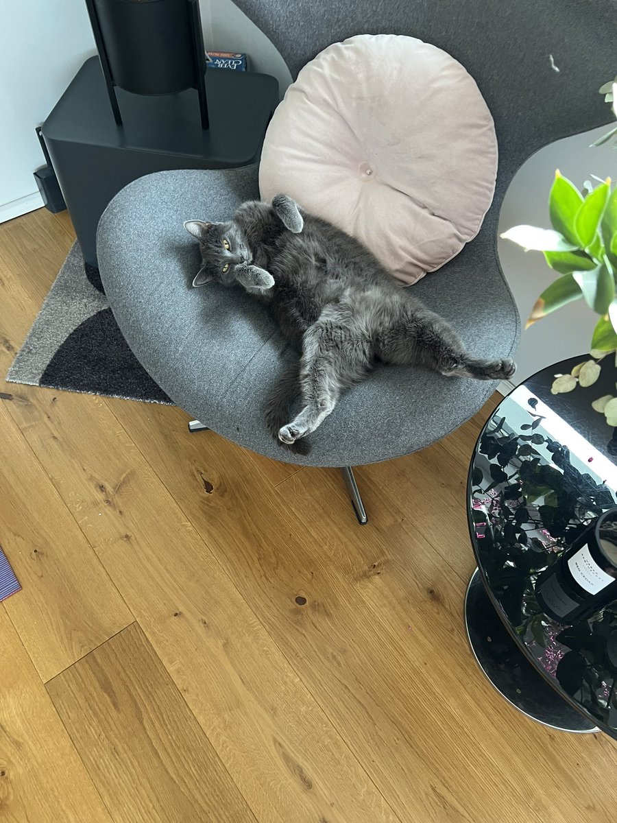 skuliskula14's tweet photo. @Doddilitli Talaði við Matthildi Myrru nokkra daga um daginn 😀 mjög djúpar pælingar.. https://t.co/aOMnSJlrBg