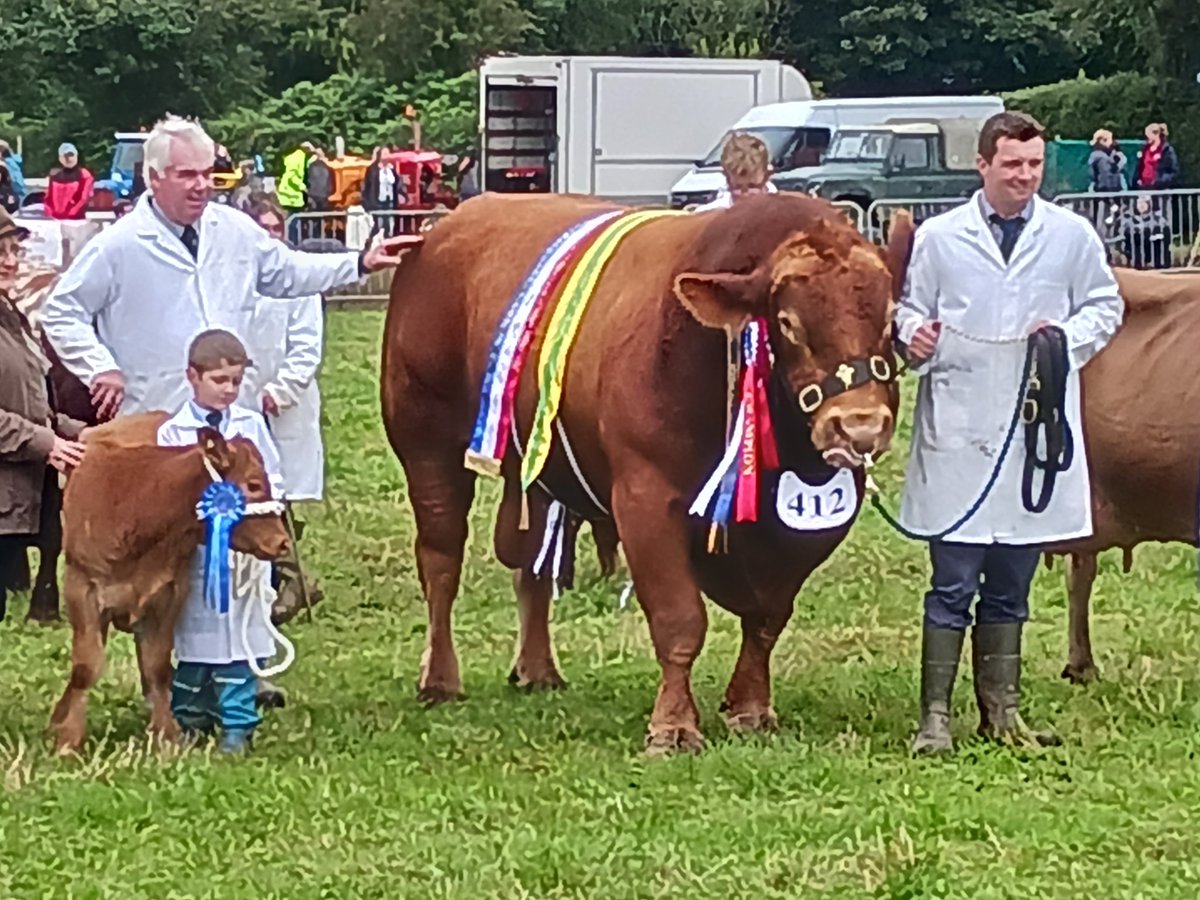 Andrew Ranson tweet media