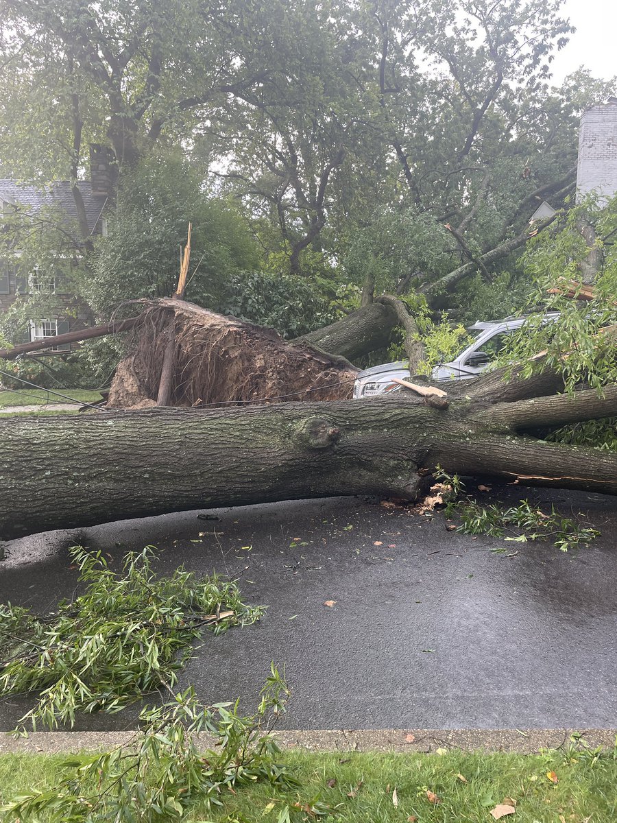 TriciaForWard3's tweet photo. The storm hit Kent/Palisades very hard. I counted 9 Heritage trees down between Klingle St and Lowell St. Power lines down everywhere. Nobody hurt. https://t.co/TcrOWDir9K