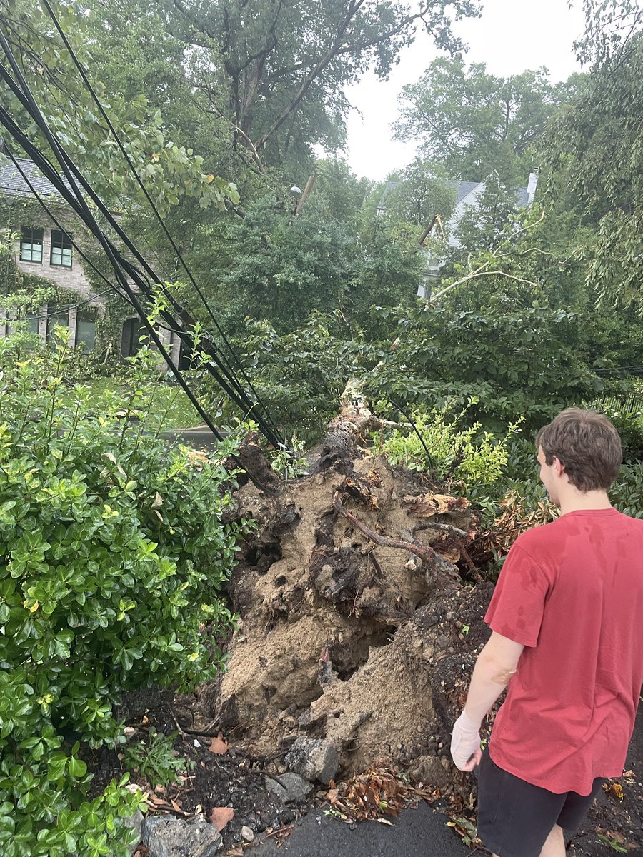 TriciaForWard3's tweet photo. The storm hit Kent/Palisades very hard. I counted 9 Heritage trees down between Klingle St and Lowell St. Power lines down everywhere. Nobody hurt. https://t.co/TcrOWDir9K