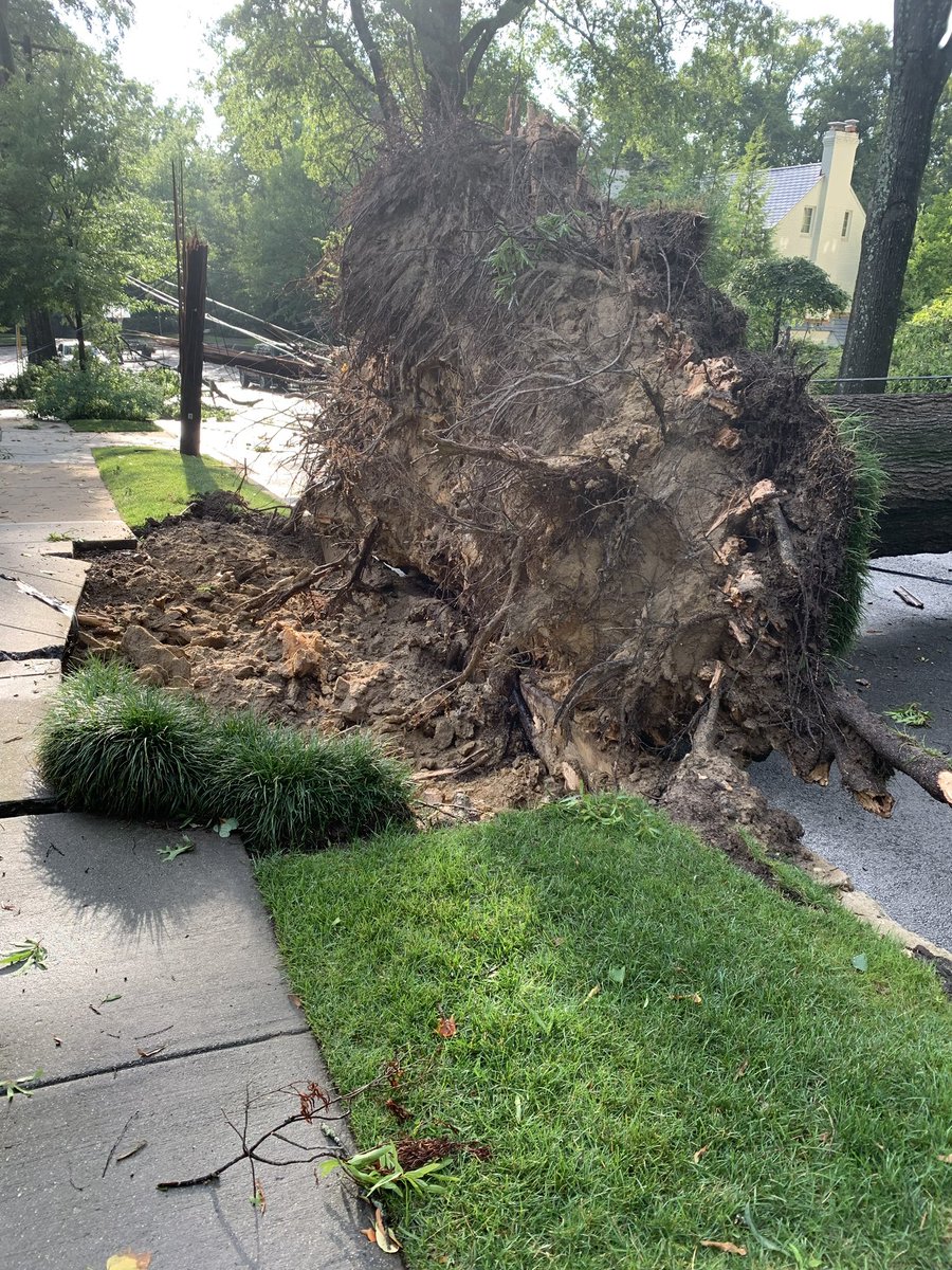 TriciaForWard3's tweet photo. The storm hit Kent/Palisades very hard. I counted 9 Heritage trees down between Klingle St and Lowell St. Power lines down everywhere. Nobody hurt. https://t.co/TcrOWDir9K