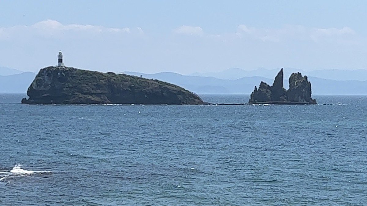 ryus1225's tweet photo. 鯛島まで https://t.co/JsFXluiwgs