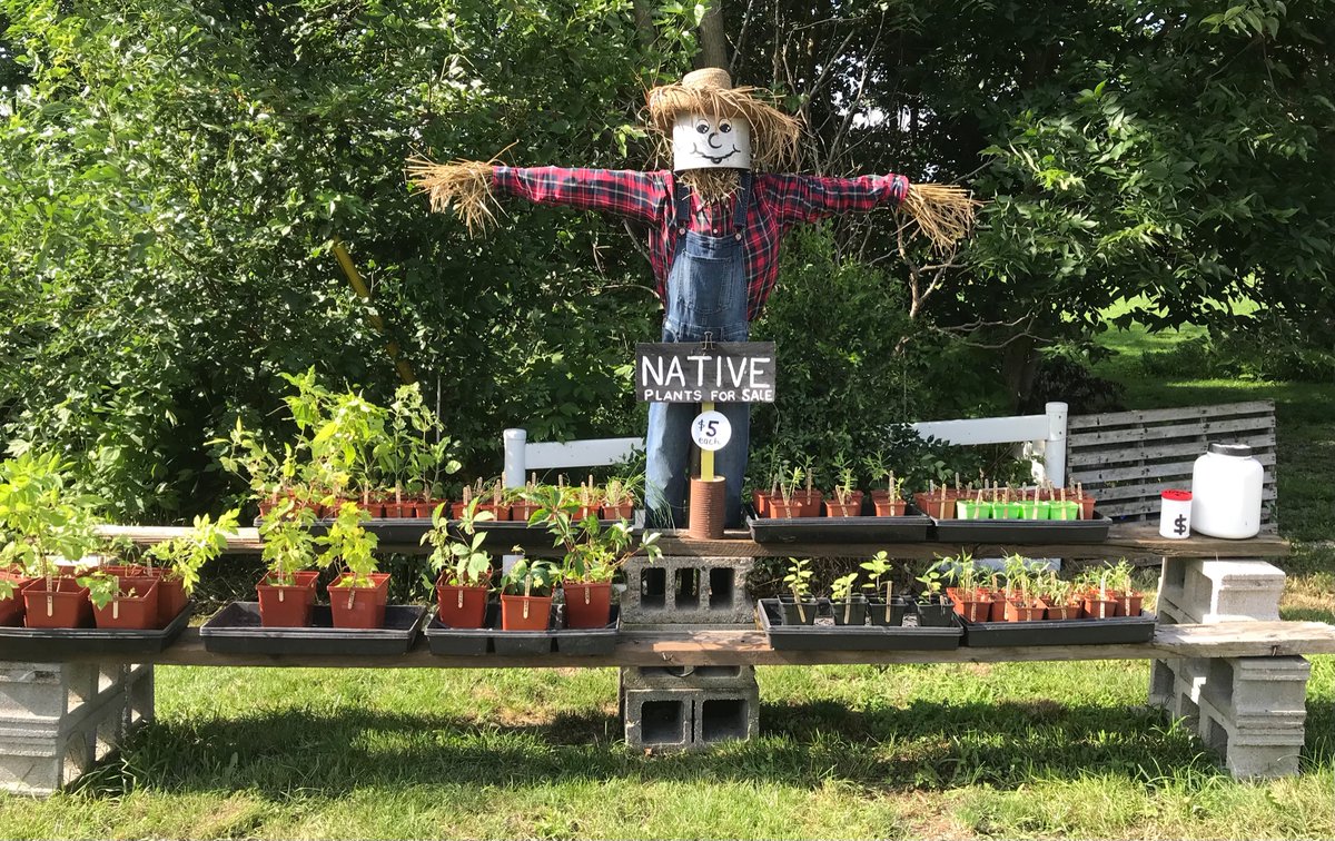 Wandering Walker tweet media