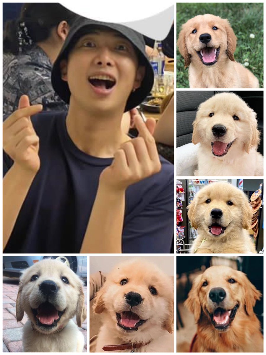 jooniepupp's tweet photo. i don't think u guys understand the struggle i had w this joonie pic bc it's just so puppy coded look at him. that's my floof 😭😭😭😭 https://t.co/Qy12wPHrRp