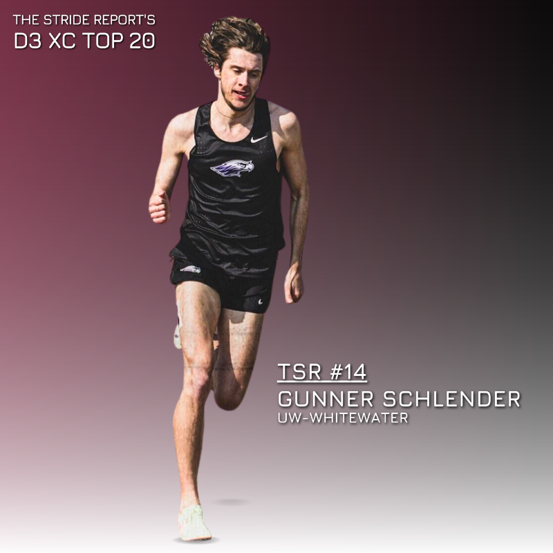 TheStrideReport's tweet photo. Only one more sleep until the top-10 portion of our D3 preseason cross country rankings!

In the meantime, be sure to go check out the next set of talented names from our summer lists below...