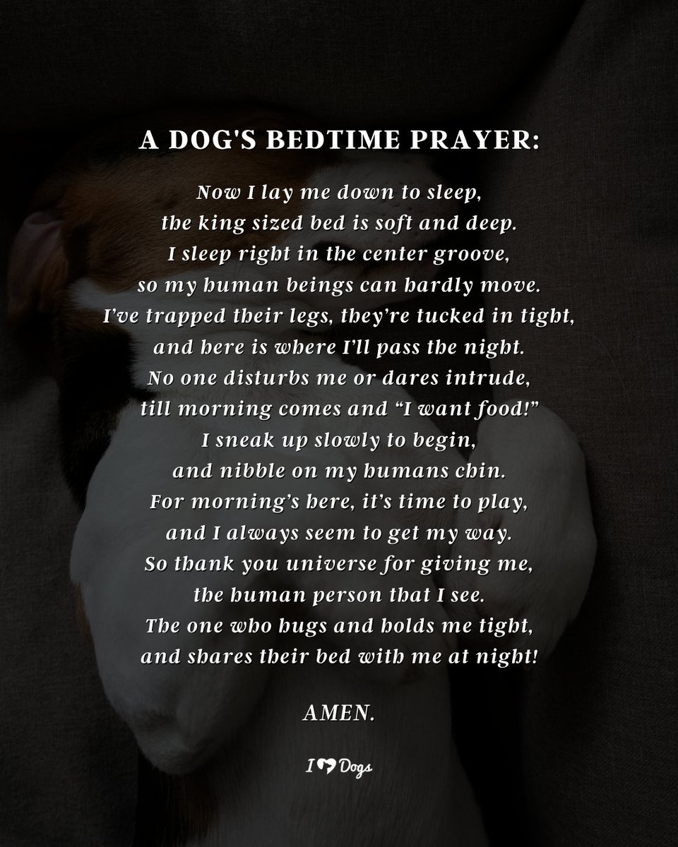 iheartdogs's tweet photo. A dog's bedtime prayer... ❤️🐕🌛 #dogs #PetsAreFamily https://t.co/wzIuY8017p