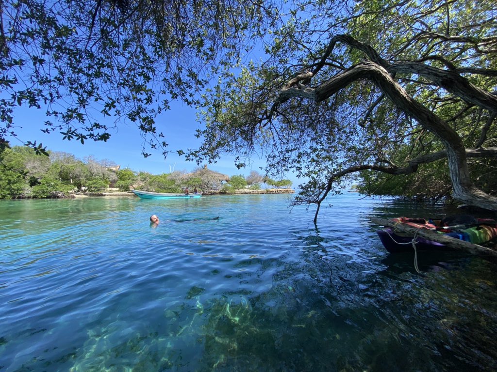 BrookeConroy13's tweet photo. First day off after the #MMM6 conference. Exhausted but inspired. Jeff and I still found some mangroves :)) I can never truly switch off thinking about coastal processes unless you take me to the mountains https://t.co/SAjRM3y1mq