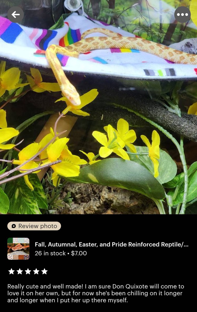 I love my customers so much 🥰

#EtsySeller #reptiles #reviews