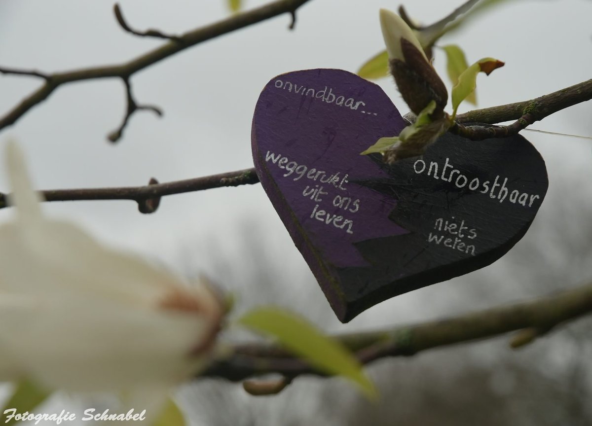 FotoSchnabel's tweet photo. Afscheids- en herinneringsfotograaf https://t.co/XVspIdRKnK https://t.co/CkKlsnc2Cc