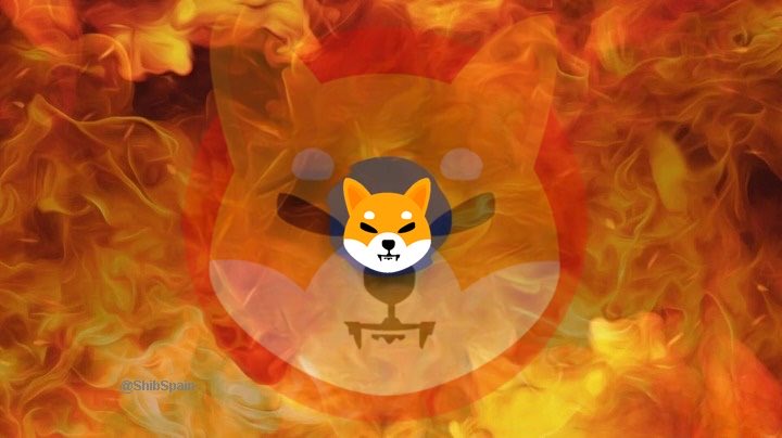 SHIBpossessor's tweet photo. We need more burns 🔥🔥🔥 
Some top projects on #Shibarium will implement and burn $SHIB 🔥🔥🔥

#SHIBARMYSTRONG https://t.co/1Yi0NWWfa0