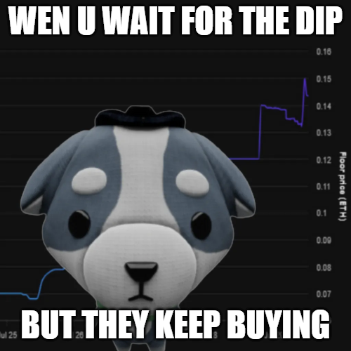 NotDunder's tweet photo. @ThePlooshies is maybe a little too bullish #yesyesyes #plooshies #soooogood https://t.co/l6t6E64UNw