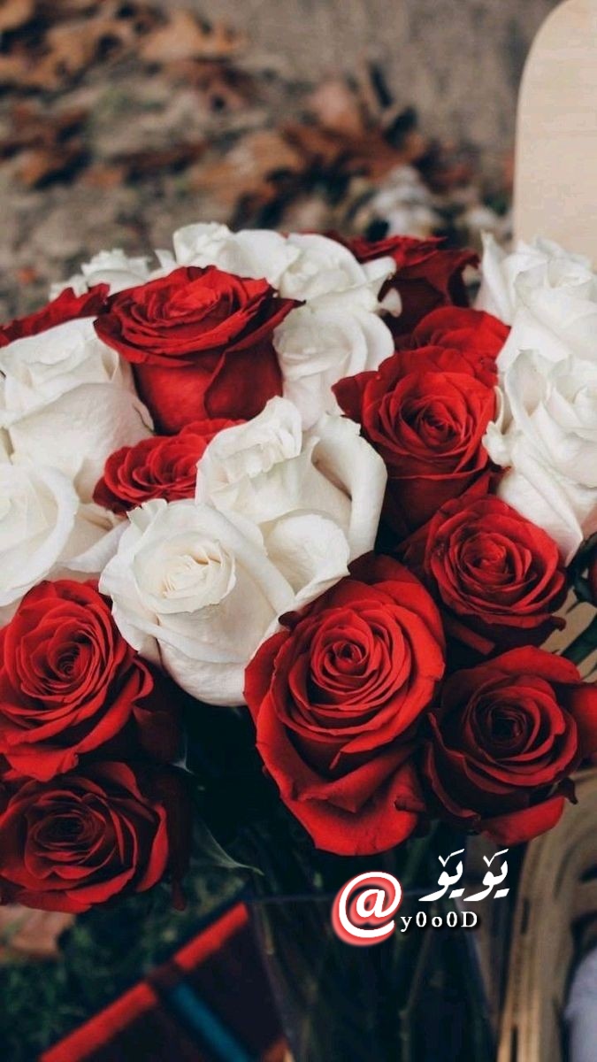 ••ᘓ᭄⍣⃝ ˓٭˛✿|• 𓏲••𝒴ℴℴ𝓈𝓊𝒻••♥ tweet media