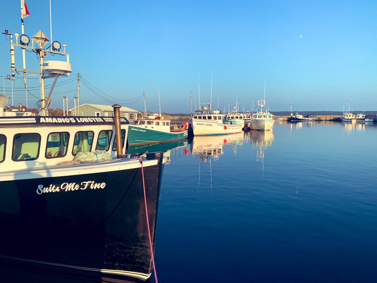 mcquesview's tweet image. Fishing boats and lobster traps, Port Morien, Cape Breton Island, NS #fishingboat #capebreton #altanicocean #lobsterfishing #boatlife