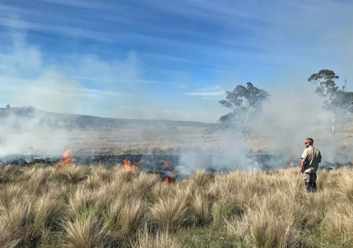The Tasmanian Gov revealed a $1.3m policy to re-establish cultural burning practices to protect and enhance natural and cultural values on land, support Tasmanian Aboriginal people and orgs to undertake cultural burning and to share knowledge.🔥🙌🏿

👉🏾 ow.ly/pjEu50PkfxL