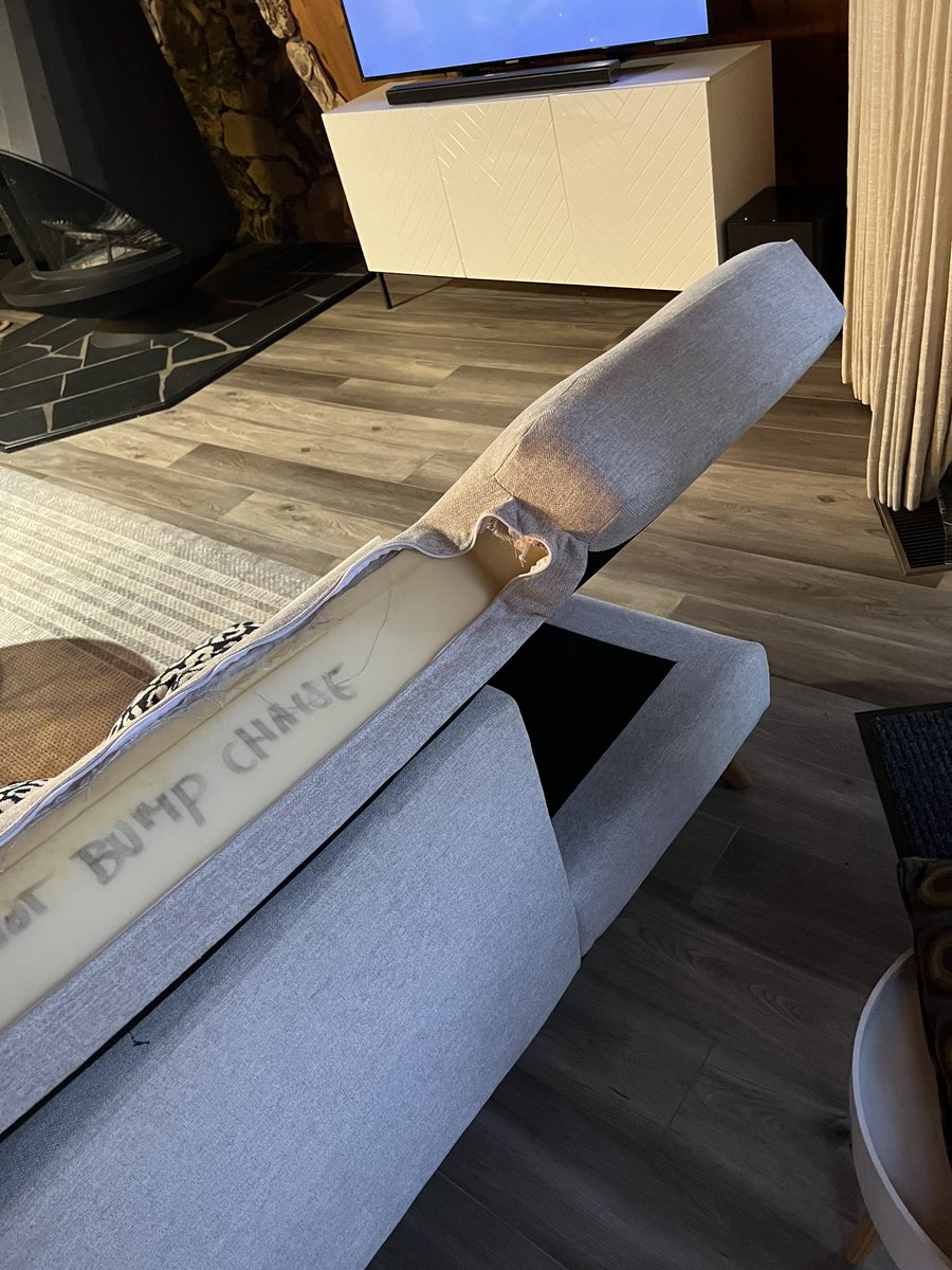 naveenbasically's tweet photo. @wearejoybird we bought sofas from burrow article and Joybird. Yours broke down after very little use and was the most expensive. And no service since it crossed twelve months and we probably used it for less than 3 months. #classy https://t.co/X61yWOKQyv