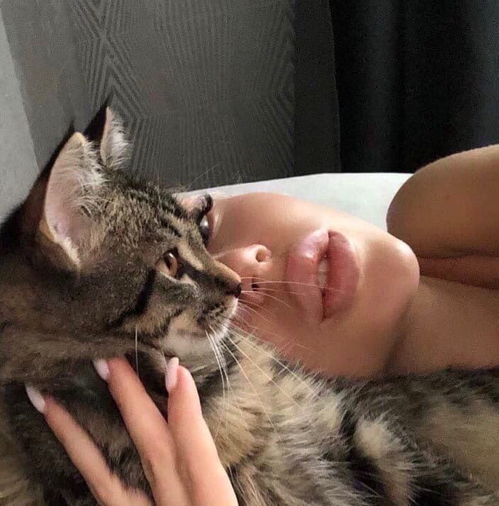 cat woman (@lilly94298459) on Twitter photo 