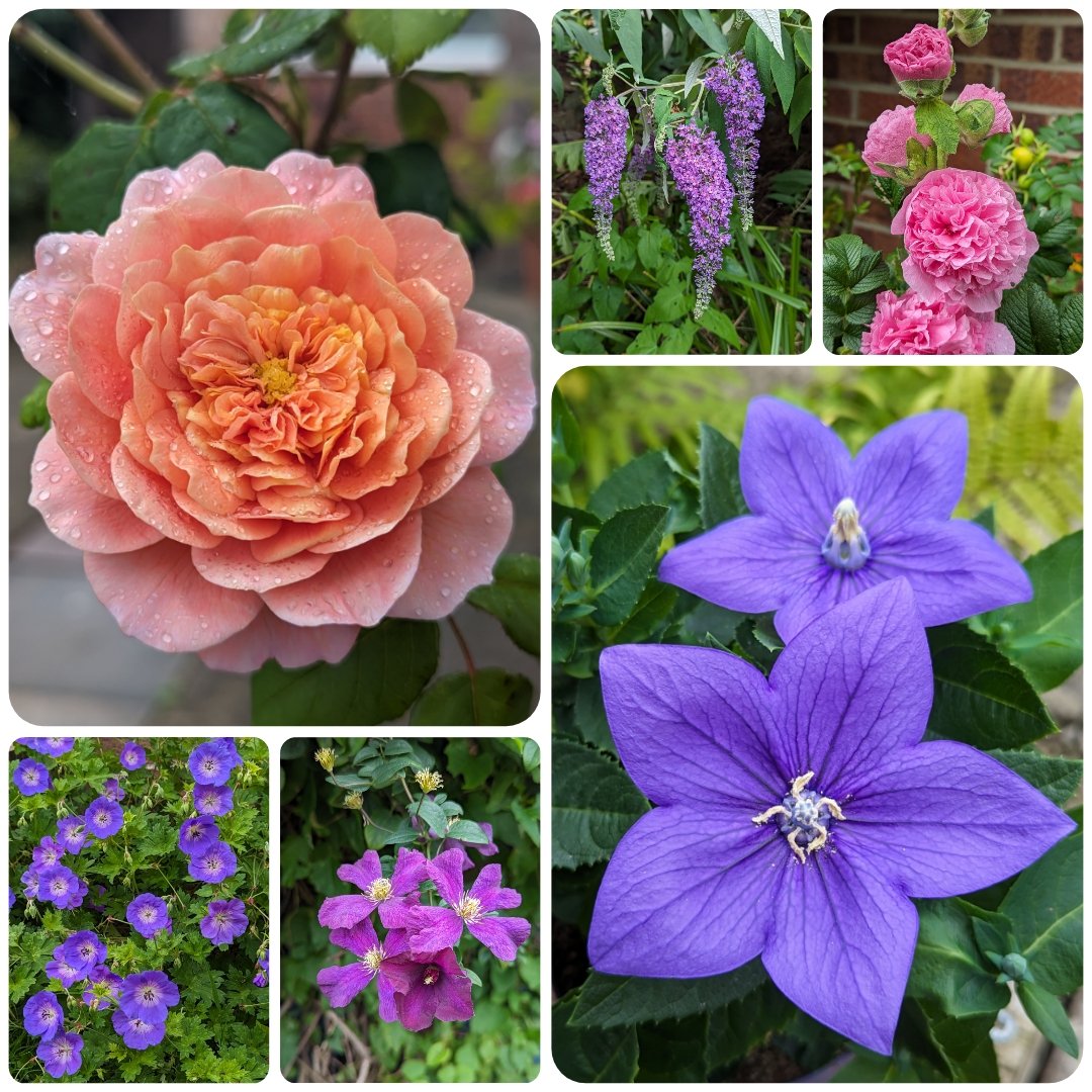 said boukhrouf (@saidboukhrouf3) on Twitter photo 